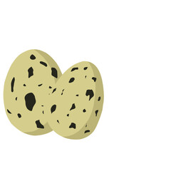 Vector Quail Egg Illustration 