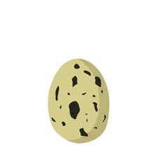 Vector Quail Egg Illustration 