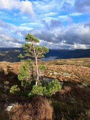 Beautiful Hiking Trial Ådnanipa Arna Bergen Norway