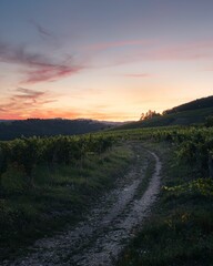 Obraz premium Landscape scene fo Green fields around a dirt road at sunset