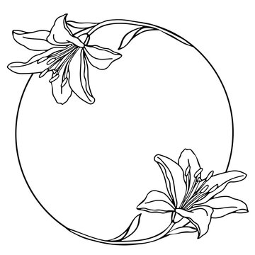 Lillies flower wreath, hand drawn illustration for design of card or wedding invitation.