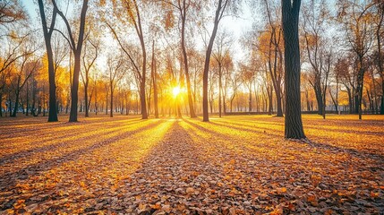 Fototapeta premium Autumn Forest with Sunlight and Falling Leaves