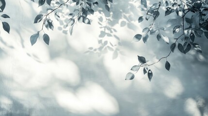 Overlay effect on a white wall featuring gray leaf shadows An abstract blurred background evokes a neutral nature theme with dappled light