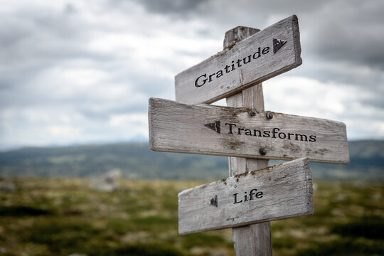 gratitude transforms life text quote written on wooden signpost at the crossroads outdoors in nature.
