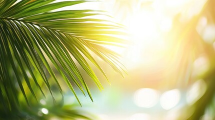 Abstract background featuring a blurred green palm leaf with bokeh sunlight on a beach evoking summer vacation and travel vibes Ample copy space available