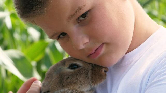Teen boy hands holding cute little brown rabbit baby bunny outdoor summer greenery grass closeup. Male kid arms hugging adorable furry small hare farm animal mammal fluffy pet with long ears at park