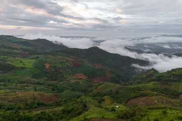 Captivating aerial view of verdant hills and misty clouds enveloping a tranquil mountain landscape at sunrise.
