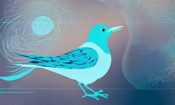 dove and peace