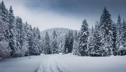 winter landscape in the mountains