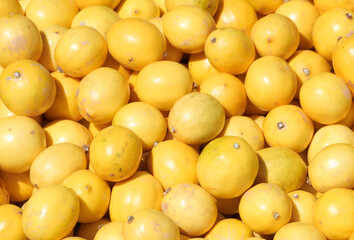 Pile of Yellow Lemon for Sale at Local Farmers Market in Adana, Turkey