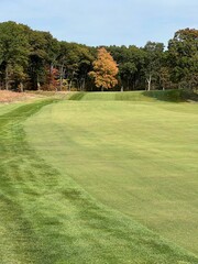 Obraz premium Golf course fairway with autumn trees.
