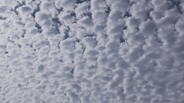 Tokyo,Japan - October 24, 2024: Altocumulus clouds on autumn sky
