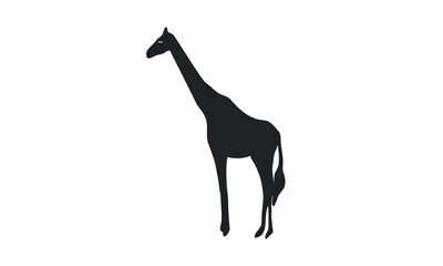 Giraffe Silhouette. Vector Illustration of Giraffe Icons in Flat Black Color Isolated on a White Background. Giraffe Silhouette Isolated on White Background.