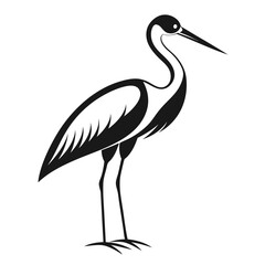 Obraz premium White Stork black Belarus bird silhouette