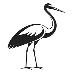 Obraz premium White Stork black Belarus bird silhouette