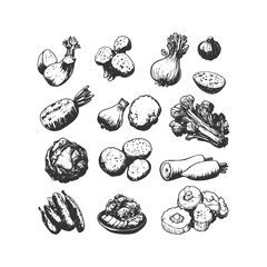 Hand-drawn vintage vegetable set featuring root vegetables, mushrooms, and leafy greens in detailed line-art style. Ideal for organic food packaging, farm branding, and healthy lifestyle illustrations