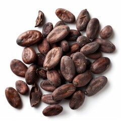 Isolated of cocoa, Brown roasted cocoa beans seeds isolated, cocoa bean isolate, white background, bean isolated on white