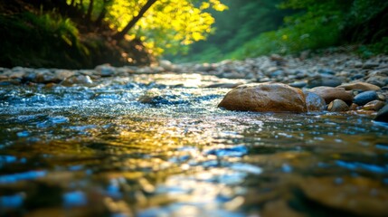Fototapeta premium Gentle Stream with Soft Focus and Diffused Lighting