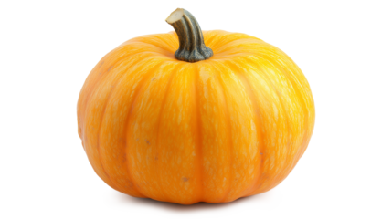 Pumpkin vegetables isolated on a white background