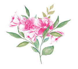 Watercolor Bouquet of Flowers Botanical 