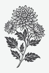 Chrysanthemum Branch with Beautiful Flowers Silhouette Vector Art for Graphic Design and Decoration