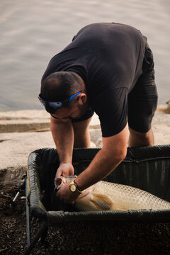 Beautiful carp freshly caught by a fisherman in a swamp