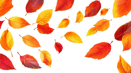 Obraz premium Whirling Autumn Splendor - Vibrant Fall Leaves in Red, Yellow, and Orange Tones on White Background