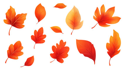 Vibrant Hand-Drawn Autumn Leaves Set on White Background for Seasonal Designs