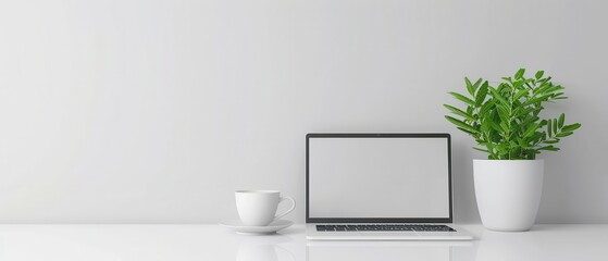 Minimalist workspace featuring a blank laptop on a wooden table with a potted plant