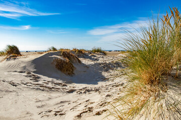 beautiful beach with dunes, white sand and blue sea in the North Sea in Rømø Denmark