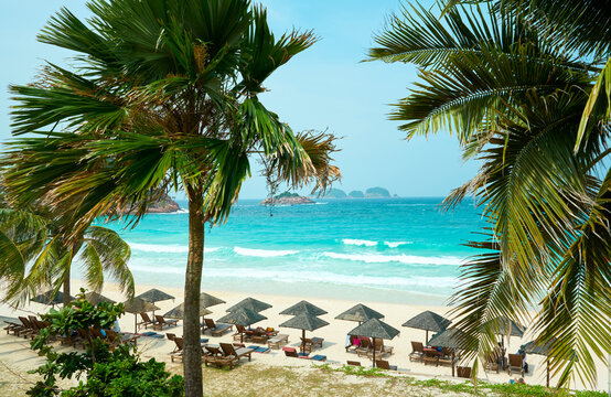 Palm trees framing tranquil beach scene in redang island, malaysia