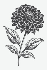 Zinnia Branch with Flowers Silhouette Vector Design for Artistic and Creative Projects