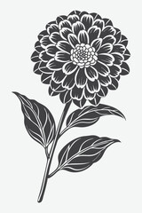 Zinnia Branch with Flowers Silhouette Vector Design for Artistic and Creative Projects