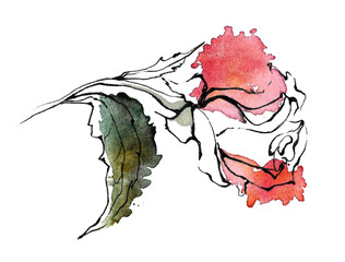 Wedding flower. Graphic image of a rose flower on a stem with a large leaf. Hand-drawn illustration on a background of watercolor spots of pink and green.