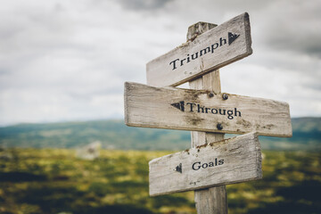 triumph through goals text quote written on wooden signpost at the crossroads outdoors in nature.