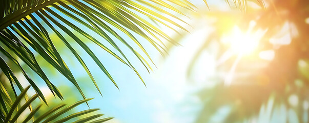  serene and blurred image of green grass in the foreground, illuminated by a soft golden sunset with bokeh effects, creating a peaceful and tranquil atmosphere