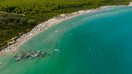 Fototapeta premium Aerial view of Baia dei Turchi beach in the province of Lecce, Salento, Puglia, Italy. It is a bay within a nature reserve with a pine forest. There are many tourists on vacation with umbrellas.