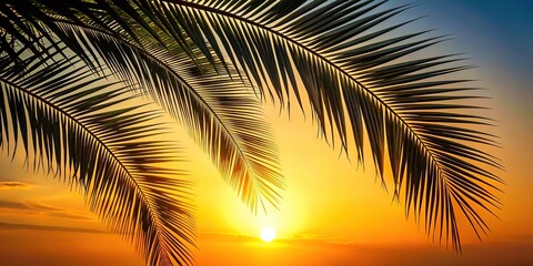 Fototapeta premium Silhouette of palm tree branches illuminated by early morning sun