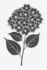 Hydrangea Branch with Flowers Silhouette Vector Design for Beautiful Floral Illustrations