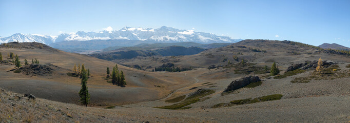 Panoramic high resolution image of Chuya steppe: hilly landscape, endless field with yellow grass, a golden autumn in the Altai. In the distance is a mountain ridge with snow covered mountain peaks.