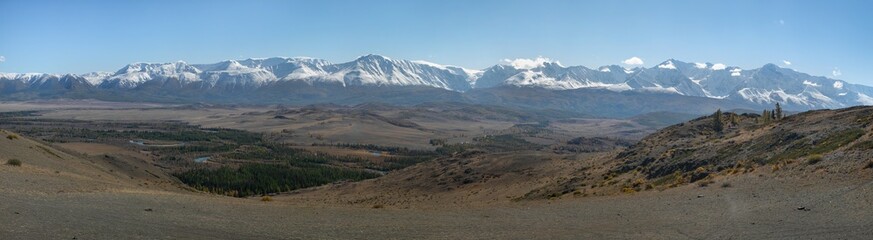 Panoramic high resolution image of Chuya steppe: hilly landscape, endless field with yellow grass, a golden autumn in the Altai. In the distance is a mountain ridge with snow covered mountain peaks.