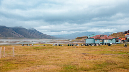 Exploring the natural landscape of Longyearbyen during a cloudy day in Svalbard