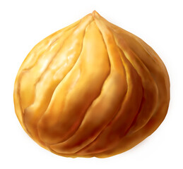 먹을것, 고립시키는, 백, 신선, 과일, 디저트, 간식, 갈색, 건강한, 식사, 감미로운, 근접, 호도, 매크로, 맛있는, 요리, 구운, yellow, 날 것의, 먹다, 성분, 유기농, 파이, 맛 있는, 고기, 밤, 알밤, 군밤, 한국 밤 일러스트, 밤 일러스트, 밤그림