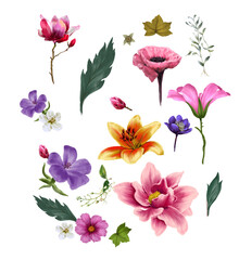 watercolor painting of leaves and flower, on transparent background
