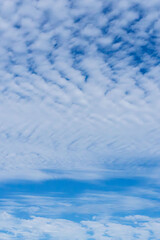 Fototapeta premium 秋の青空と雲のコントラスト68