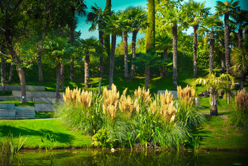 Lush tropical landscape with palm trees and ornamental grasses by a serene pond. - Powered by Adobe