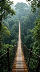 a treetop canopy walkway