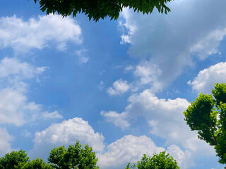 sky, 나무, 네이처, blue, green, 여름, 경관, 나무, 구름, 구름, 봄, 나무, 공원, 목초, beautiful, 들판, 식물, 아웃도어, 나뭇잎, 시골, 일, 주변, 길거리, 계절, 똑똑하다