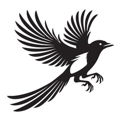 Obraz premium Eurasian magpie Bird Vector illustration in black and white 