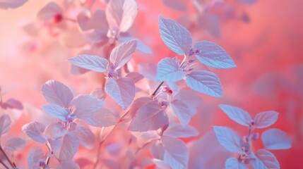 Minimalist Gradient Tones in Floral Design